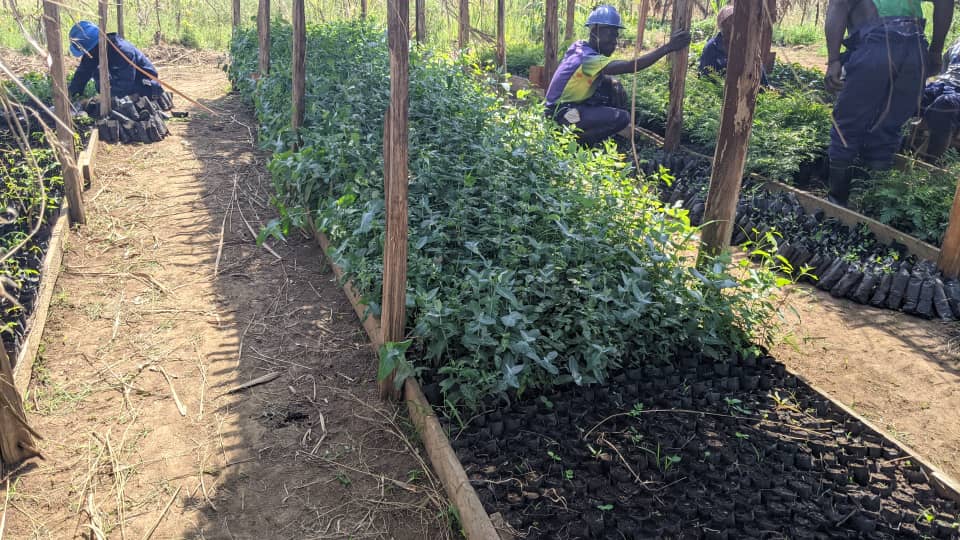 Formation en agriculture inclusive à Djugu
