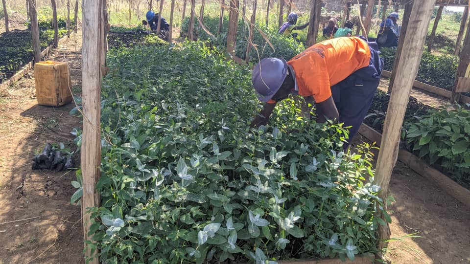 Agriculture Inclusive et Durable